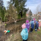 WhatsApp Image 2026-03-26 at 22.07.45 (3)