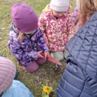 WhatsApp Image 2026-03-26 at 22.07.46 (4)