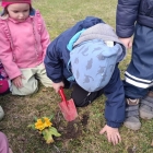 WhatsApp Image 2026-03-26 at 22.07.46 (6)